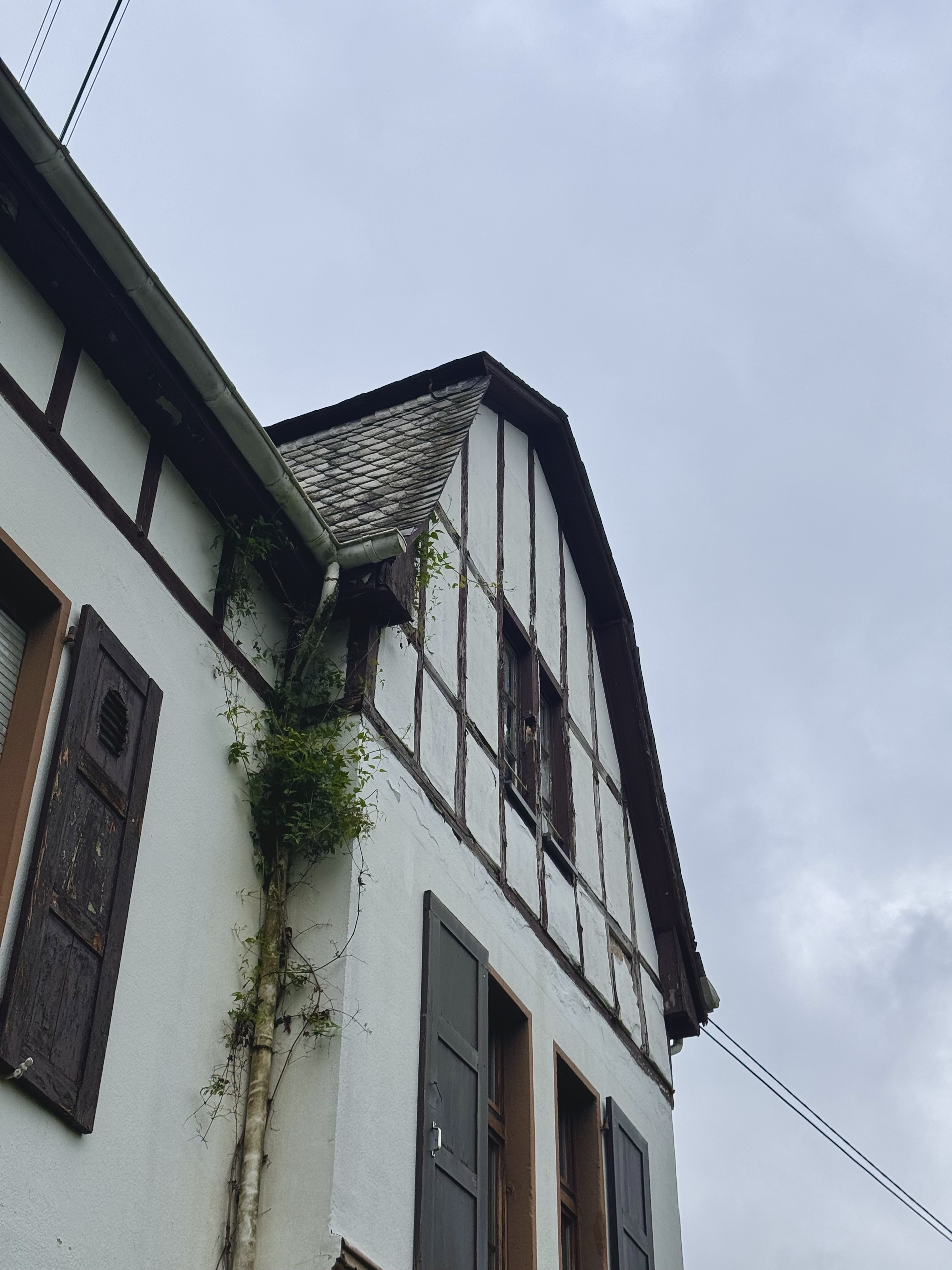 Gaube-sanieren-altbau